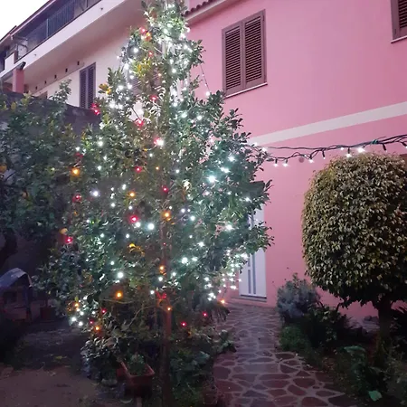 L'agrifoglio Di Emy