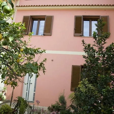 L'agrifoglio Di Emy Guspini