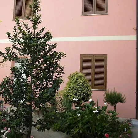 L'agrifoglio Di Emy