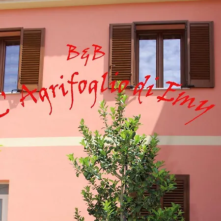 L'agrifoglio Di Emy Bed and breakfast Guspini