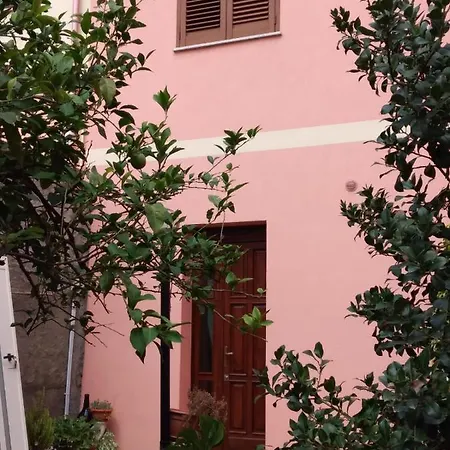 L'agrifoglio Di Emy