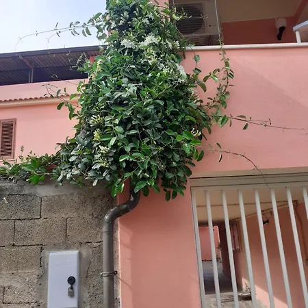 L'agrifoglio Di Emy 3* Guspini