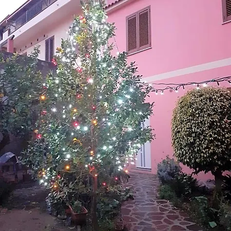 L'agrifoglio Di Emy 3*