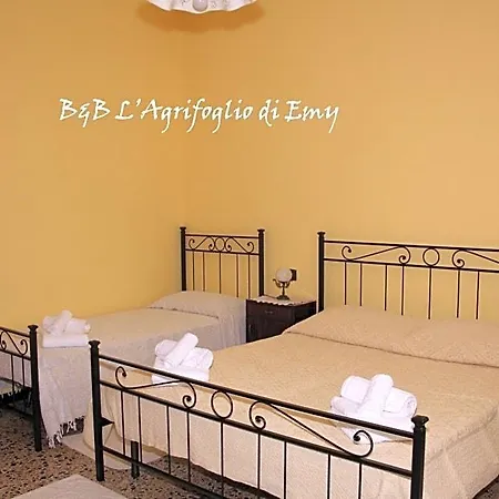 L'agrifoglio Di Emy 구스피니