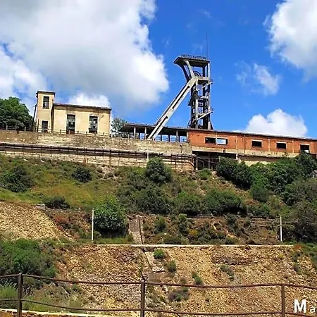 L'agrifoglio Di Emy
